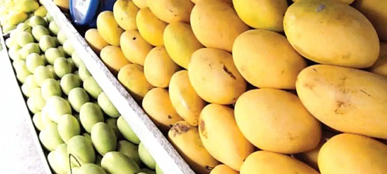 Pakistan will fall well short of its mango export target.