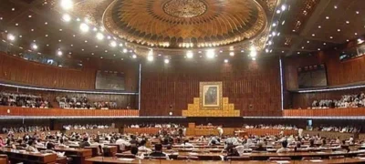Senate Committee Should Look into Fake Nursing Affiliations and Certificates