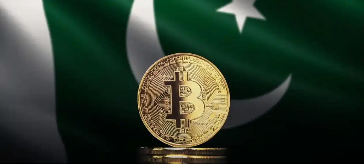 SBP Governor Working on Pakistan's First Digital Currency