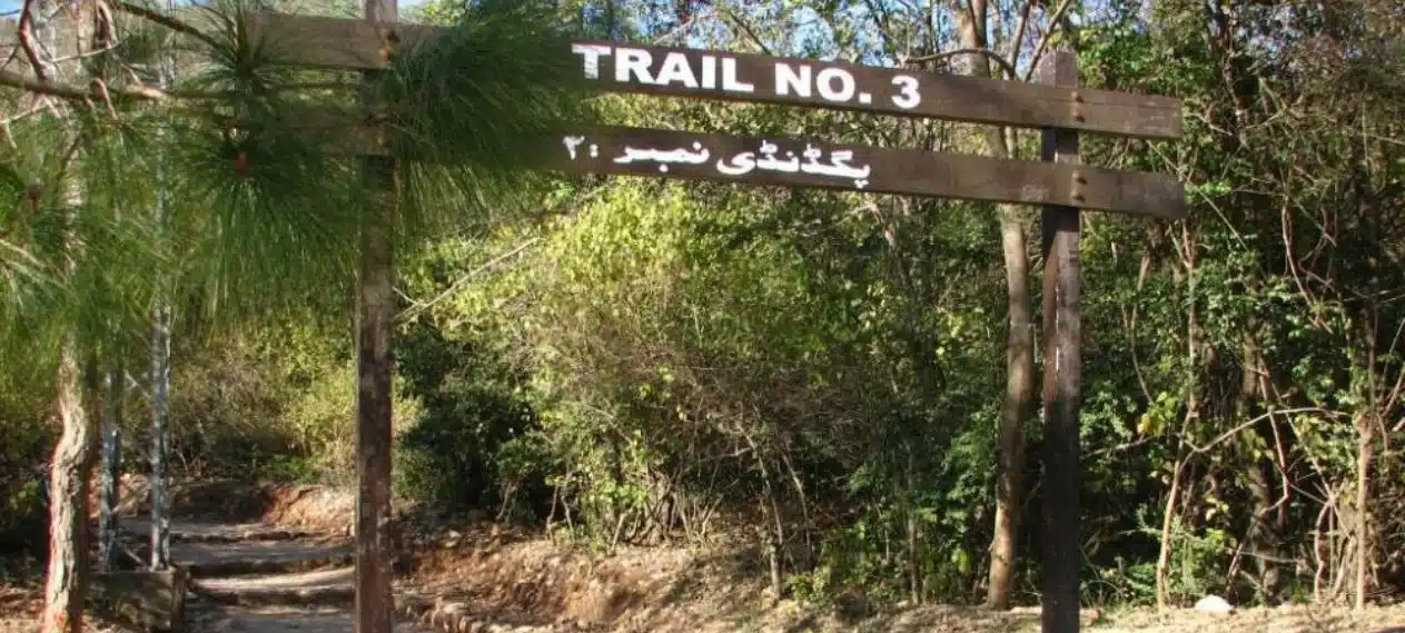 Hiking trail 3 rape case's key suspect arrested