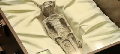 Mexican Ufologist Presents Non-Human Mummies, Claims Alien DNA