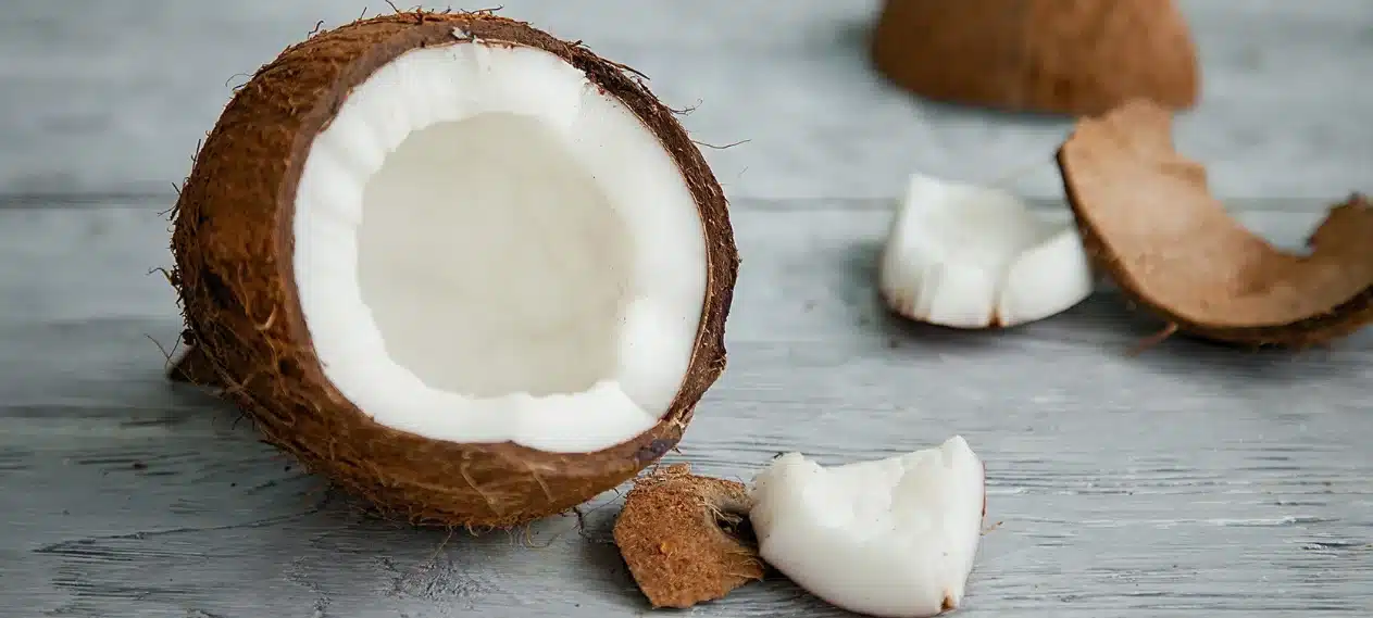 World Coconut Day: Celebrating the Versatile Fruit