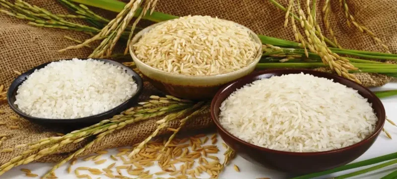 Pakistan's Rice Exports Decline Amidst Challenges in International Market