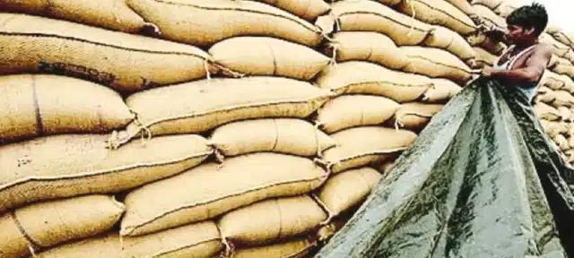 Gilgit-Baltistan Imposes Ban on Wheat Export