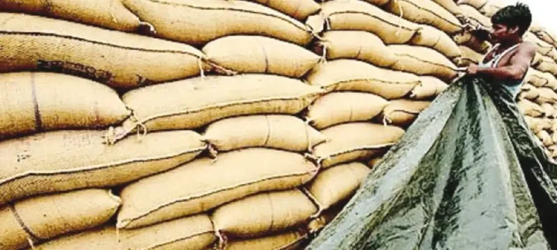 Gilgit-Baltistan Imposes Ban on Wheat Export