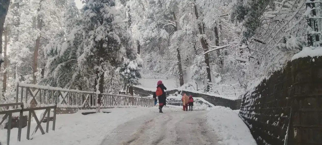 Rain and Snowfall Forecasted in Upper Pakistan this Weekend
