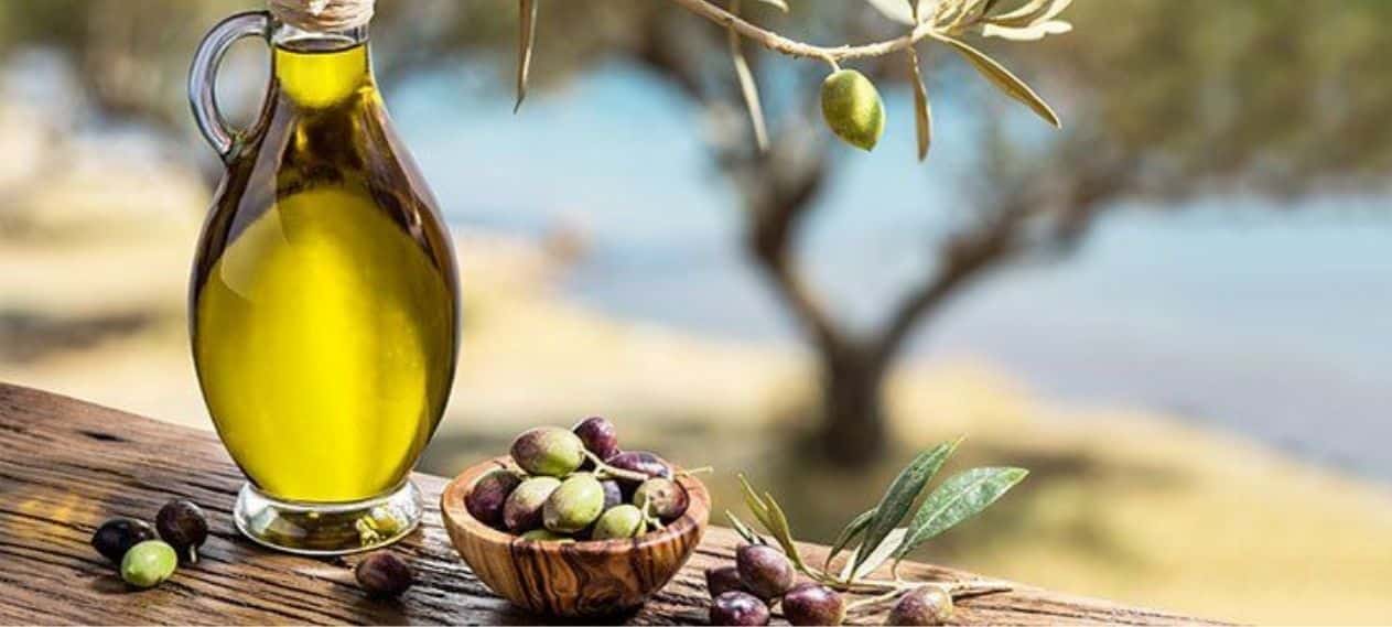Benefits of Olives and Olive Oil