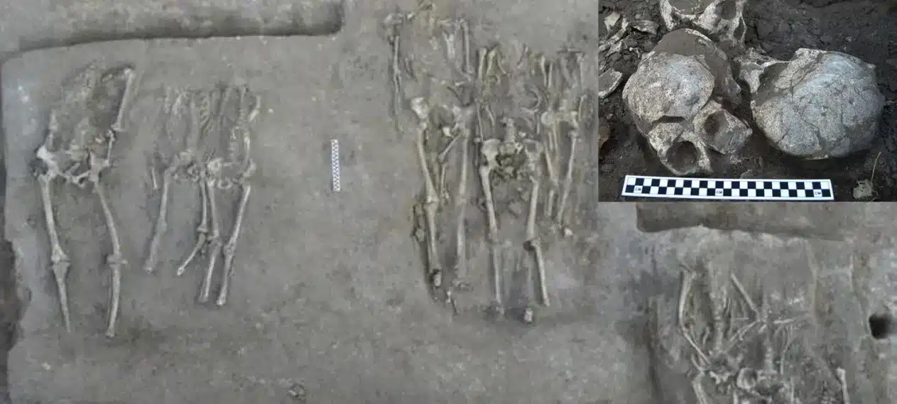 Chinese Grave Unveils 'Largest Headhunting Massacre' With Headless ...