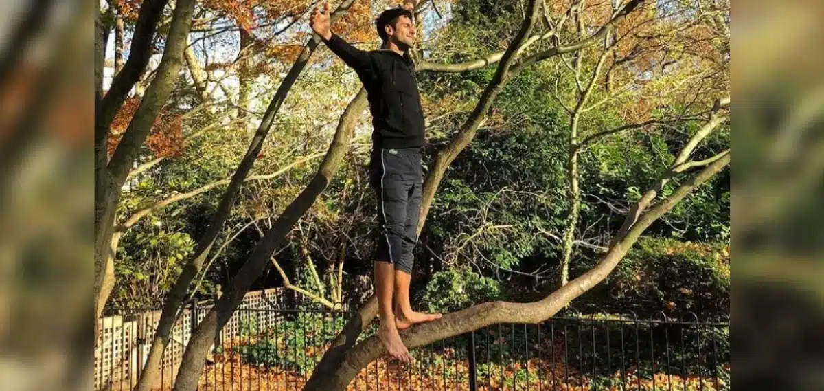 Why has Novak Djokovic been visiting this tree for the past 15 years?