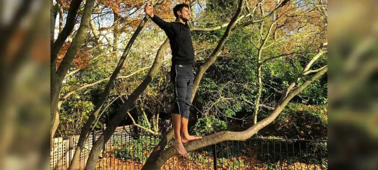 Why has Novak Djokovic been visiting this tree for the past 15 years?