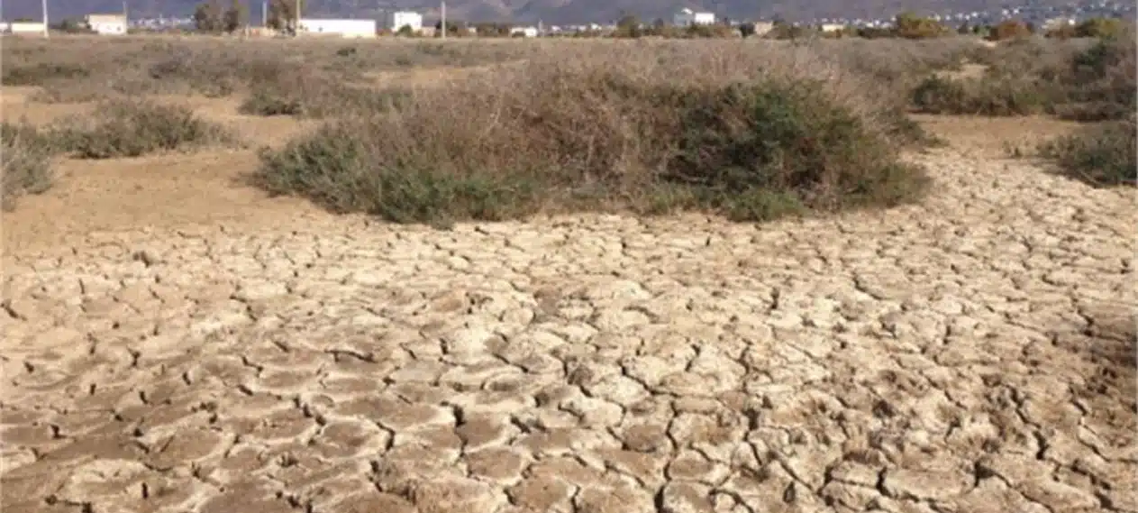 Drought Warning: Prolonged Absence of Rainfall Raises Concerns in Punjab