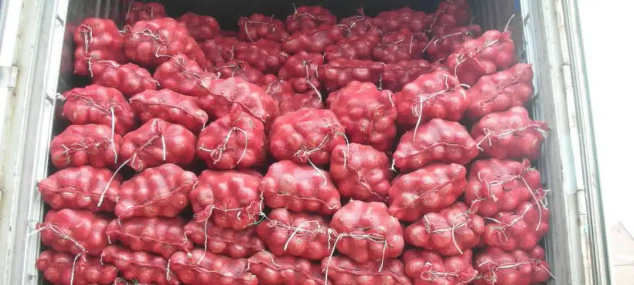 Government Restricts Onion Exports Amid Surging Local Prices