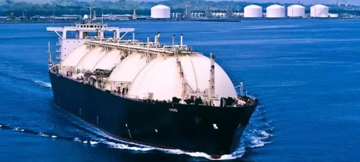 Ministerial Group Advises Against Privatisation of LNG Power Plants