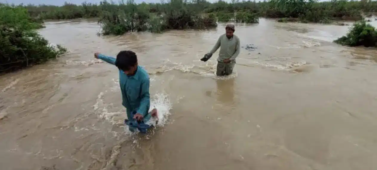 Emergency Declared in Gwadar by Balochistan Government Following Record Rainfall