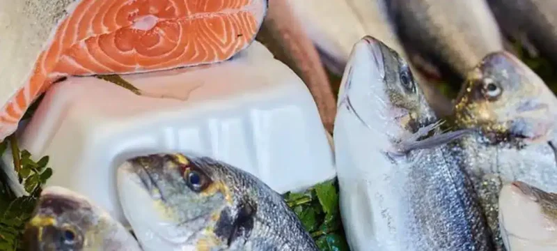 Seafood Exports to China Experience a 13% Surge