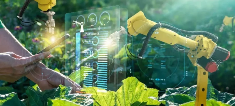 AI Applications in Agriculture