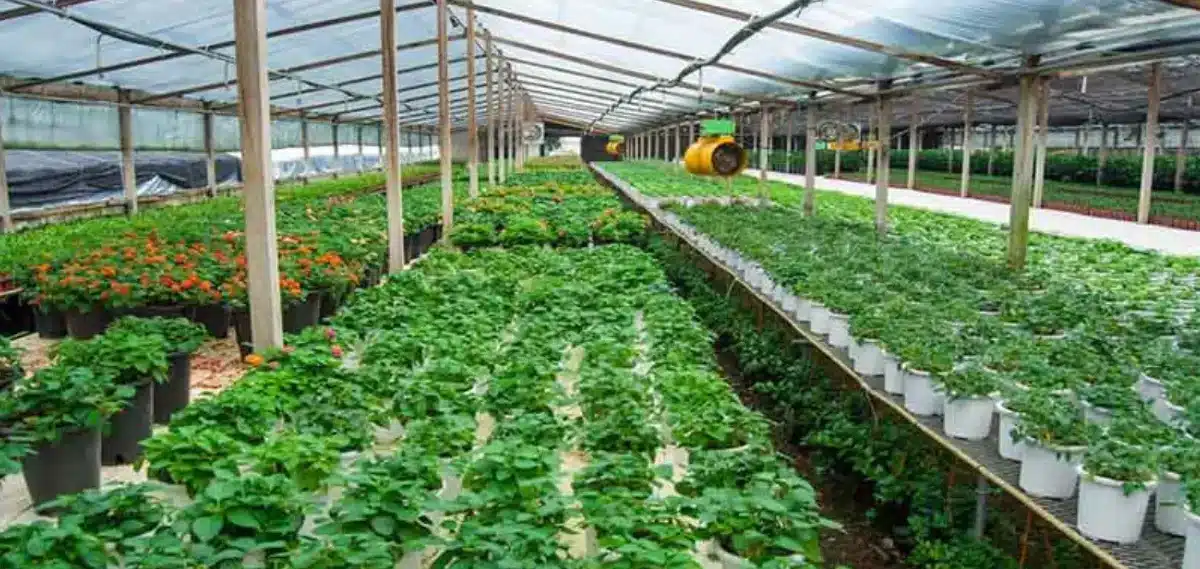 Green Pakistan Initiative Integrates State-of-the-Art Agricultural Technology from China