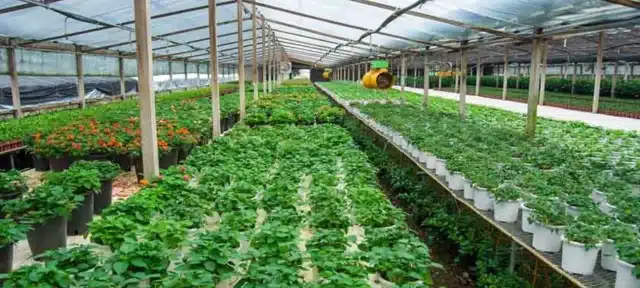 Green Pakistan Initiative Integrates State-of-the-Art Agricultural Technology from China