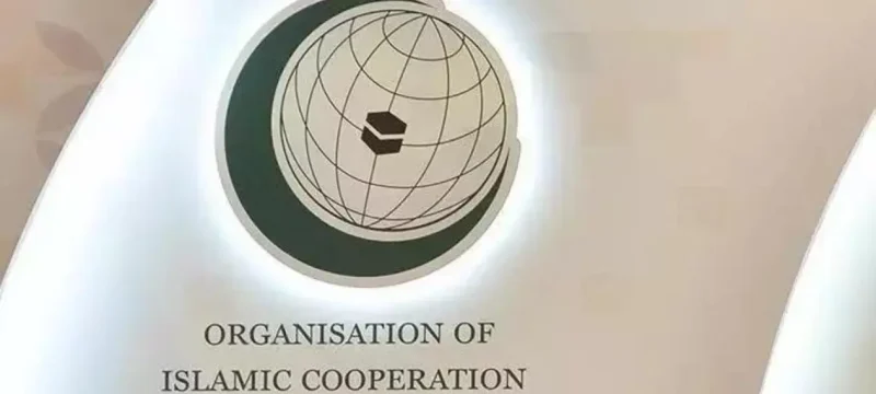 OIC Expresses Concern Over Human Rights Abuses in India's Kashmir