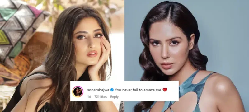 Sajal Ali Earns High Praise from Sonam Bajwa