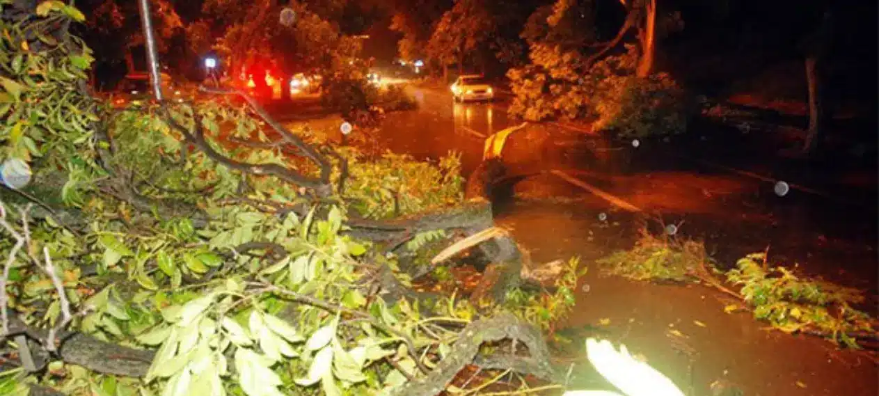 Three people, including two children, have tragically lost their lives in a windstorm in Rawalpindi