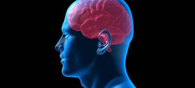 NIH Warns of Deadly Brain-Eating Amoeba
