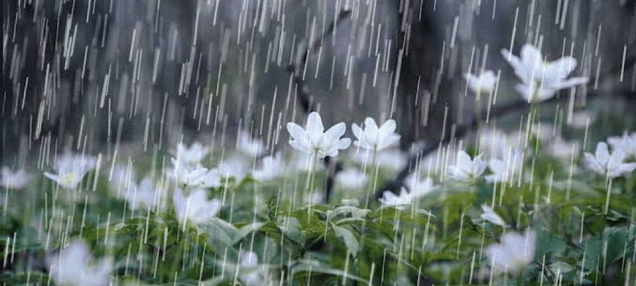PMD Forecasts Substantial Rainfall Throughout Pakistan In The Next 24 Hours