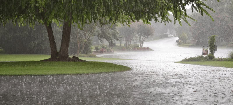 Monsoon Rains Are Anticipated To Begin In Pakistan From Today