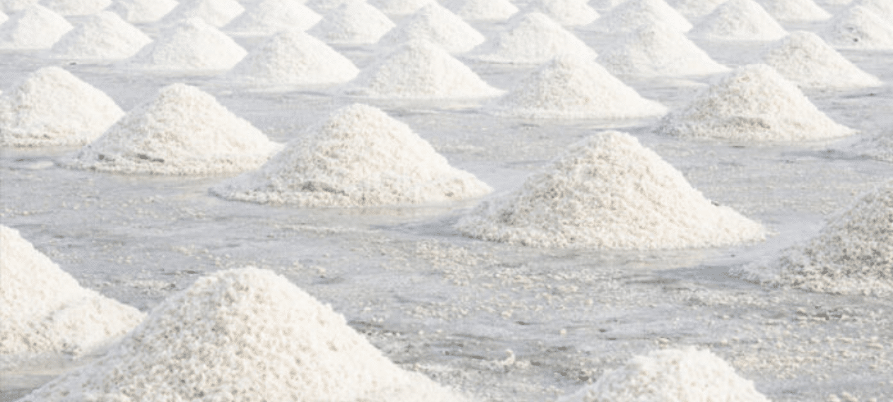 Balochistan Government Plans To Manufacture Solar Salt In Gwadar