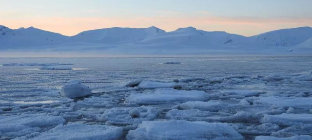 China Initiates Daily Arctic Sea Ice Updates For Northeast Passage