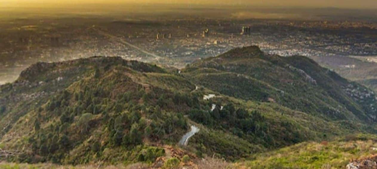 Throw And Grow: PTC And CDA Join Forces To Enhance Margalla Hills Greenery