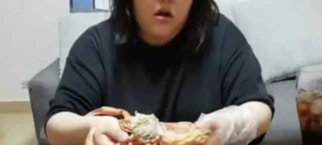 Chinese Mukbang Streamer Dies from Overeating on Stream