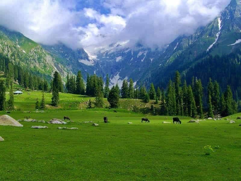 Kumrat_Valley_Pakistan