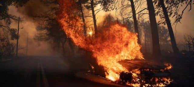 Massive Wildfire with 25-meter Flames Burns Uncontrollably Near Greek Capital, Athens