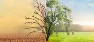 How Pakistan Can Combat Climate Change: A Comprehensive Approach