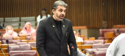 Ali Muhammad Khan Opposes PTI’s Protest Call During SCO Summit