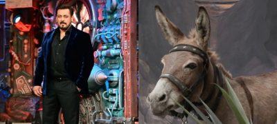 Donkey Removed from Bigg Boss 18 Amid PETA Allegations