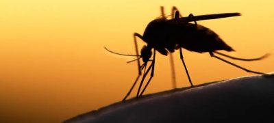 Sindh Reports Alarming Surge in Malaria Cases Within a Single Week