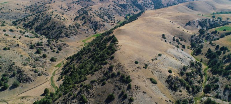 Two Lost Cities Discovered Along the Silk Road in Uzbekistan