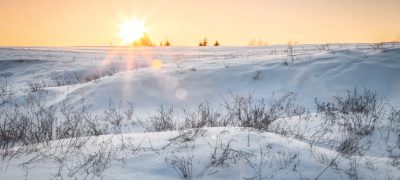 Saudi Arabia’s Desert Sees Rare Snowfall