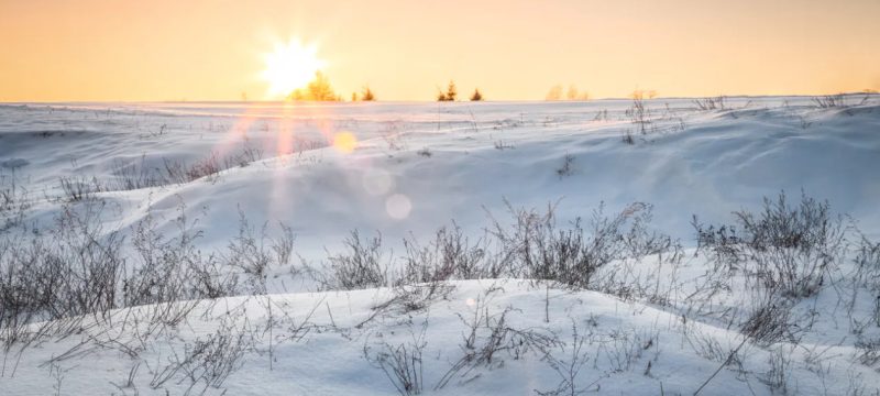 Saudi Arabia’s Desert Sees Rare Snowfall