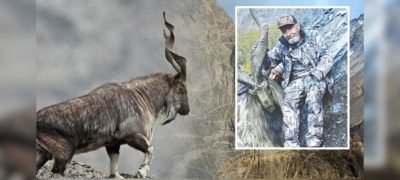 American Hunter Pays a Record Rs 7.5 Crore for Markhor Hunt in Pakistan