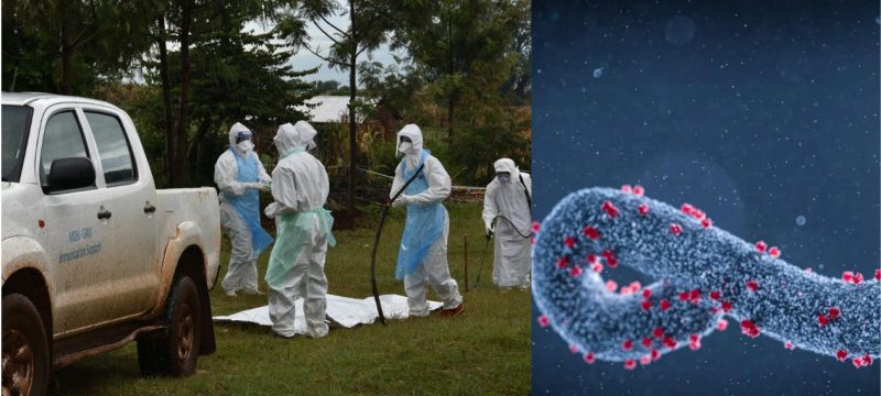 WHO Issues Warning as Mysterious Virus Outbreak Claims 8 Lives in Tanzania