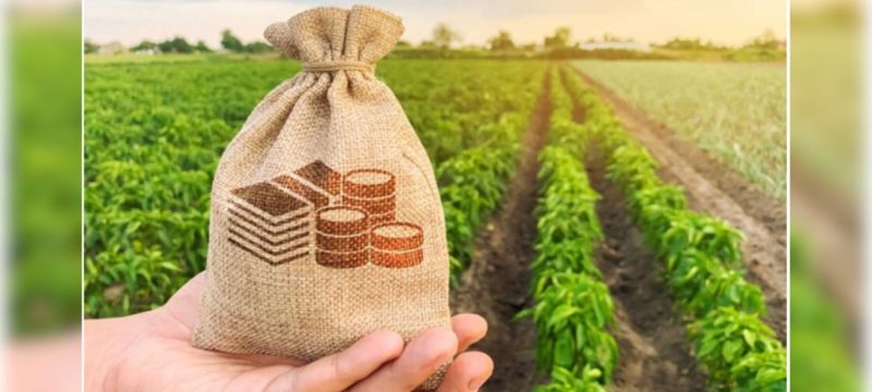 Farmers Earning Above Rs. 6lac to Bear Super Tax Under Sindh’s Proposed Agricultural Income Law