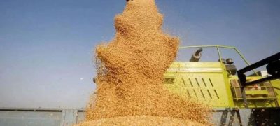 Pakistan's Wheat Production Expected to Drop Amid Dry Weather, Inflation Remains Stable