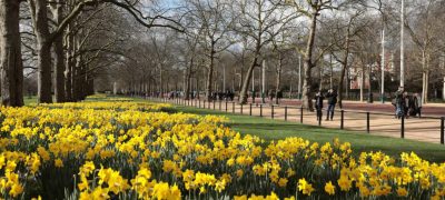 UK to Enjoy Warmest Day of 2025 as Spring Equinox Arrives