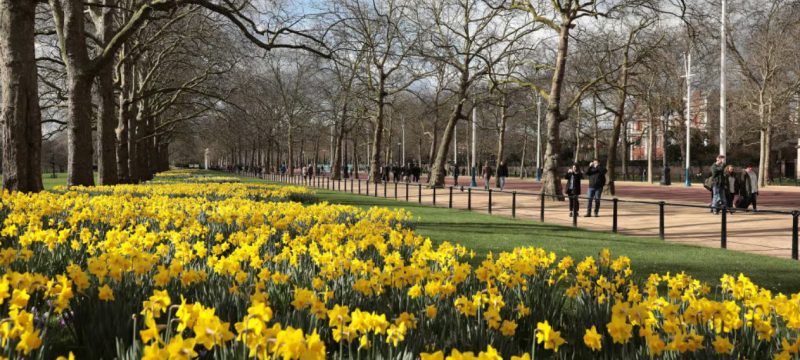 UK to Enjoy Warmest Day of 2025 as Spring Equinox Arrives