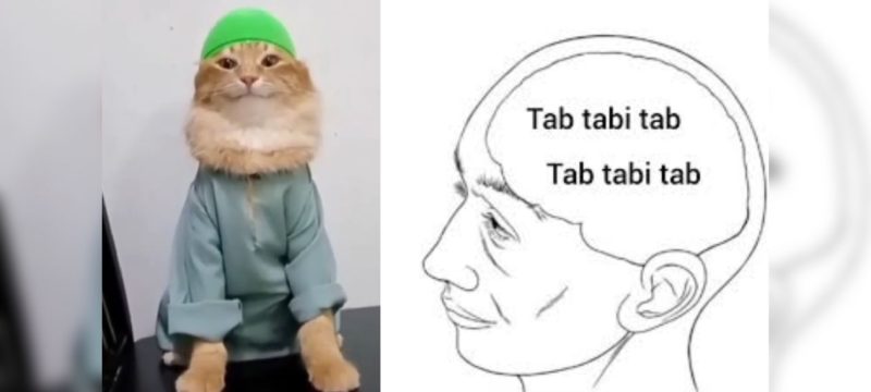 ‘Tab Tabi Tab’ Meme: The 1,200-Year-Old Poem Behind the Viral Trend!