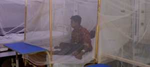 Malaria