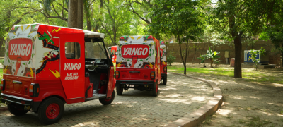 Yango